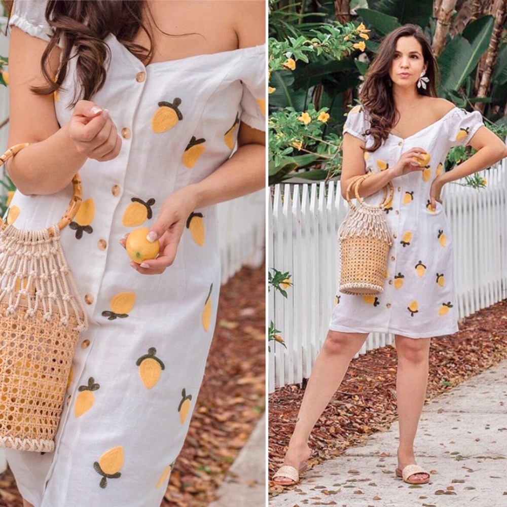 Red Carter Lemon Embroidered Dress - Picture 4 of 14